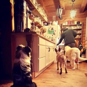 Meet your Posher, Niama